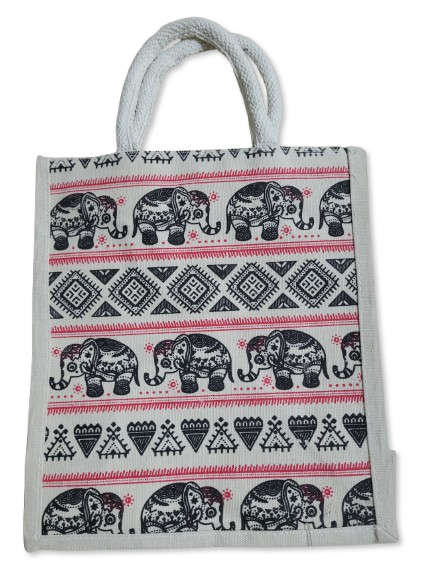 Canvas Bag (Small)